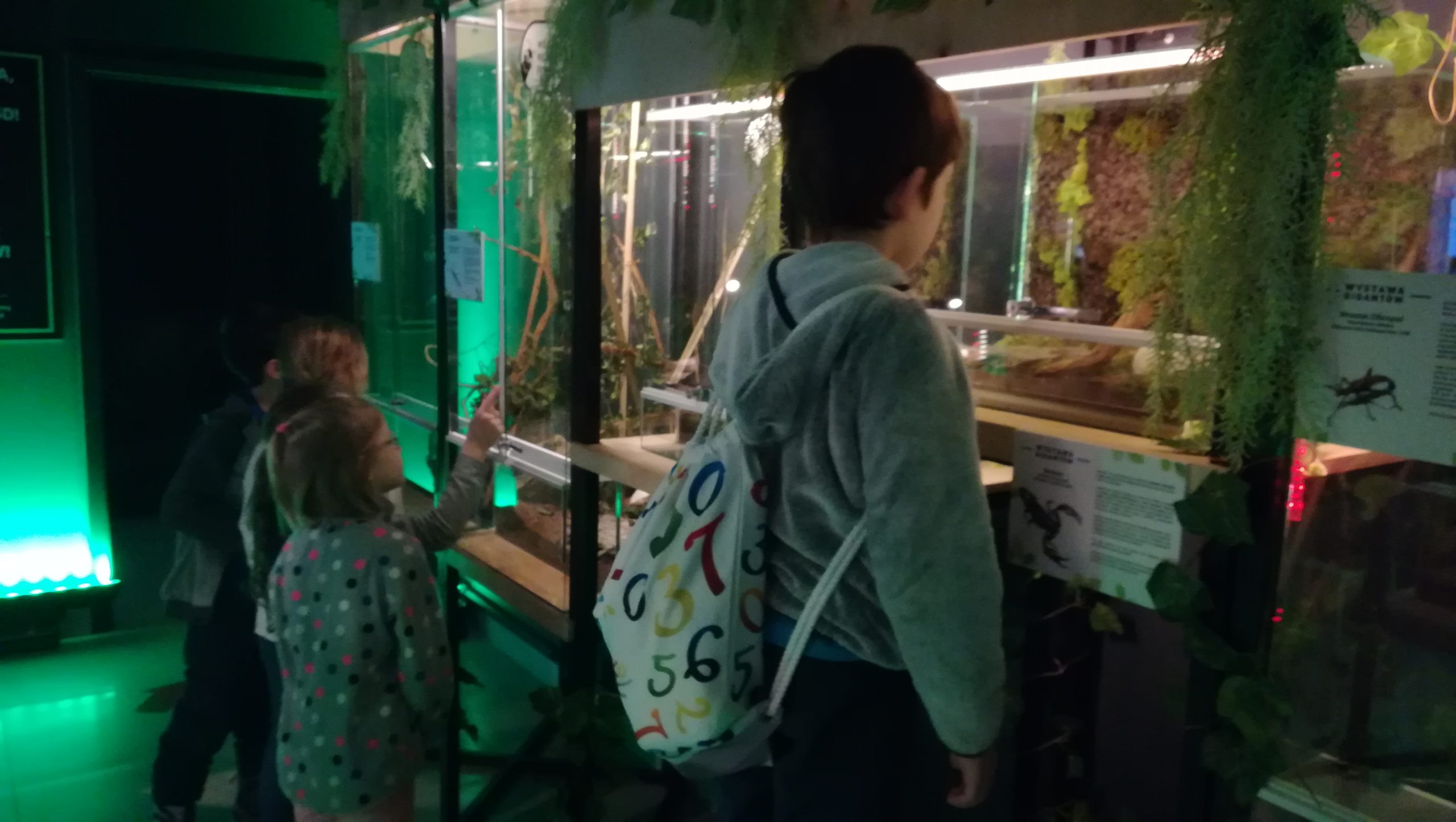 Wystawa Gigantów – fascynujący świat bezkręgowców