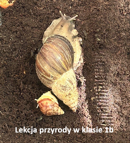 Niesamowita lekcja