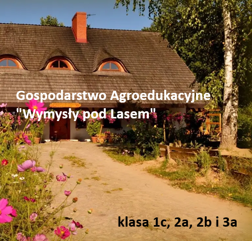 Kreatywne zajęcia manualne